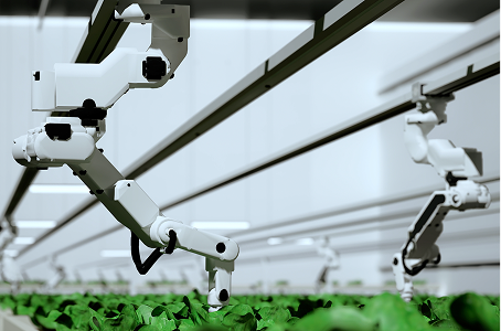 Технологии искусственного интеллекта в сельском хозяйстве